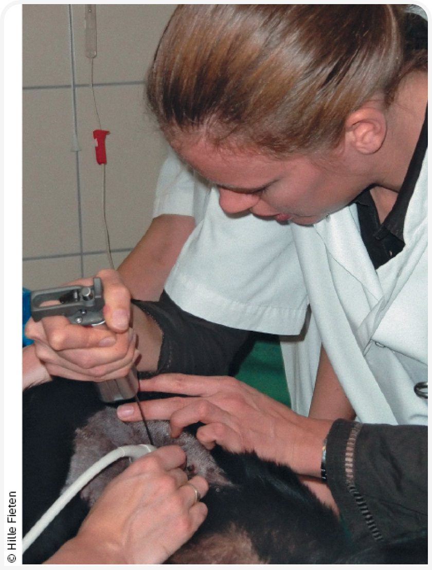 biopsy-doctor