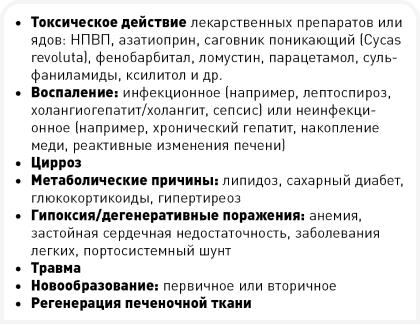 unordered list