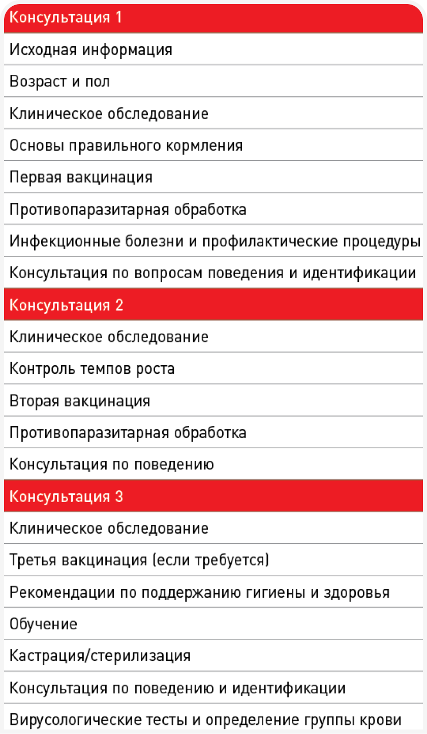 unordered list