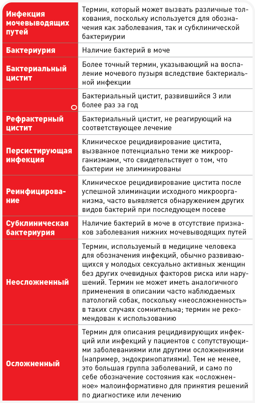 unordered list