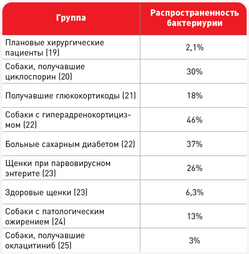 unordered list