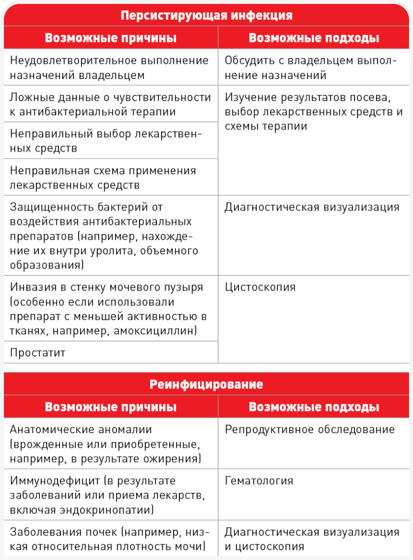 unordered list